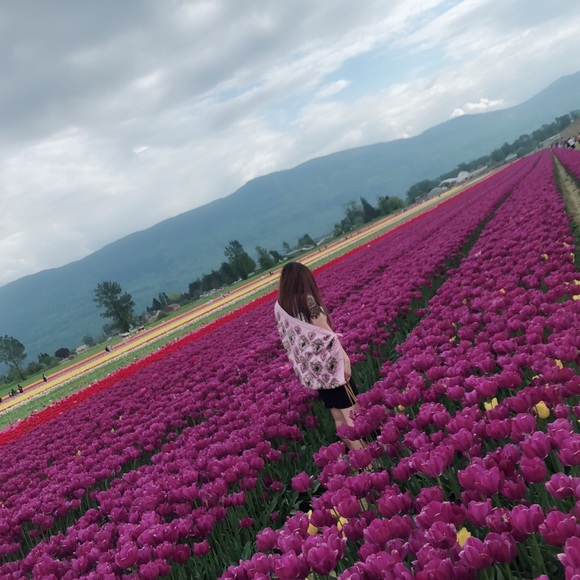 Meet your Posher, Bobo - Picture 7 of 7